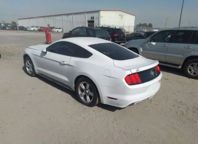 Photo 2 VIN: 1FA6P8AM8G5316299 - FORD MUSTANG 