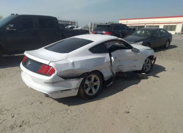 Photo 3 VIN: 1FA6P8AM8G5316299 - FORD MUSTANG 