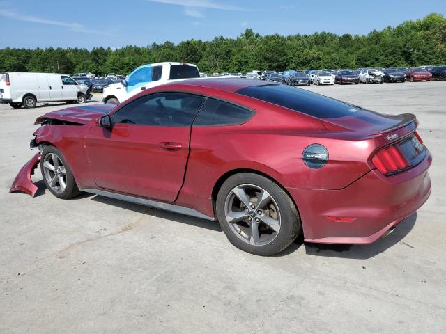 Photo 1 VIN: 1FA6P8AM8G5337539 - FORD MUSTANG 