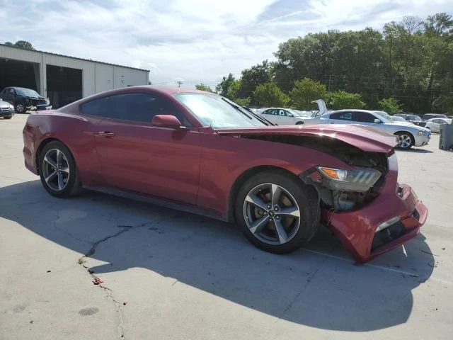 Photo 3 VIN: 1FA6P8AM8G5337539 - FORD MUSTANG 