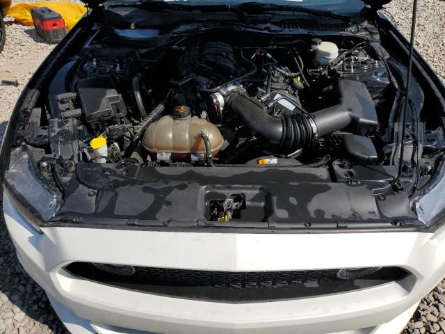 Photo 10 VIN: 1FA6P8AM8G5337606 - FORD MUSTANG 