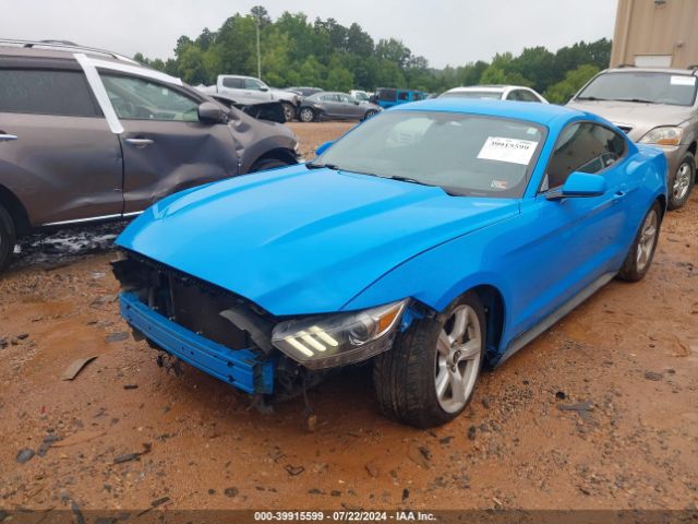 Photo 1 VIN: 1FA6P8AM8H5202692 - FORD MUSTANG 