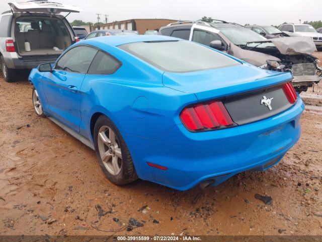 Photo 2 VIN: 1FA6P8AM8H5202692 - FORD MUSTANG 