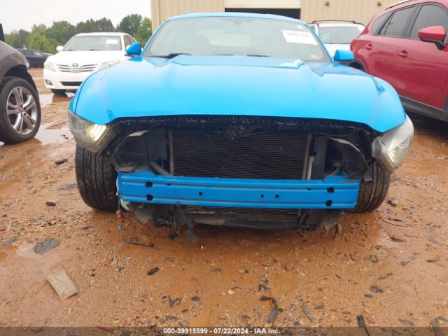 Photo 5 VIN: 1FA6P8AM8H5202692 - FORD MUSTANG 