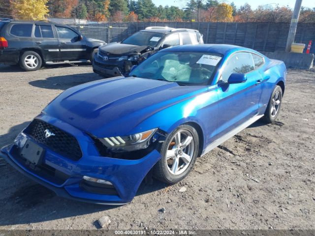 Photo 1 VIN: 1FA6P8AM8H5227947 - FORD MUSTANG 