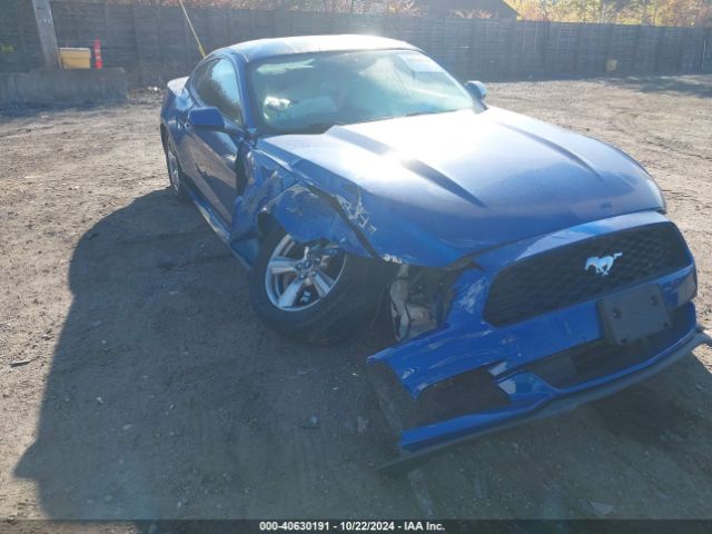 Photo 5 VIN: 1FA6P8AM8H5227947 - FORD MUSTANG 