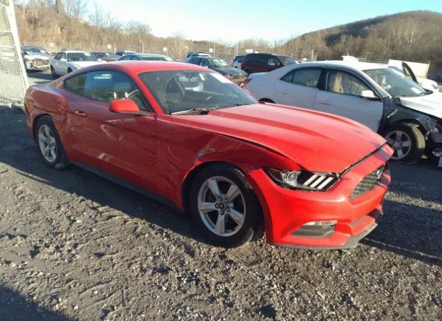 Photo 0 VIN: 1FA6P8AM8H5235031 - FORD MUSTANG 