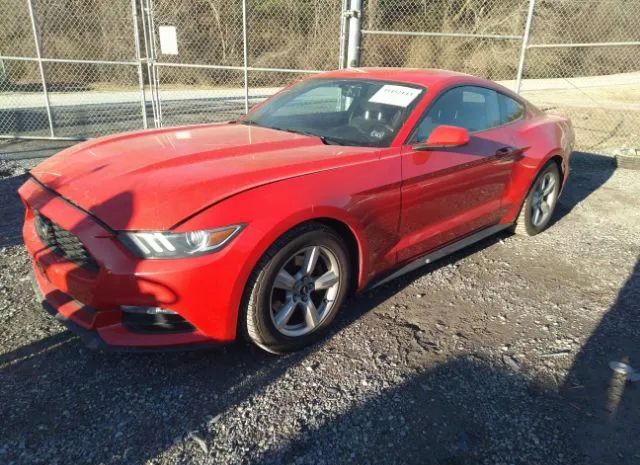 Photo 1 VIN: 1FA6P8AM8H5235031 - FORD MUSTANG 