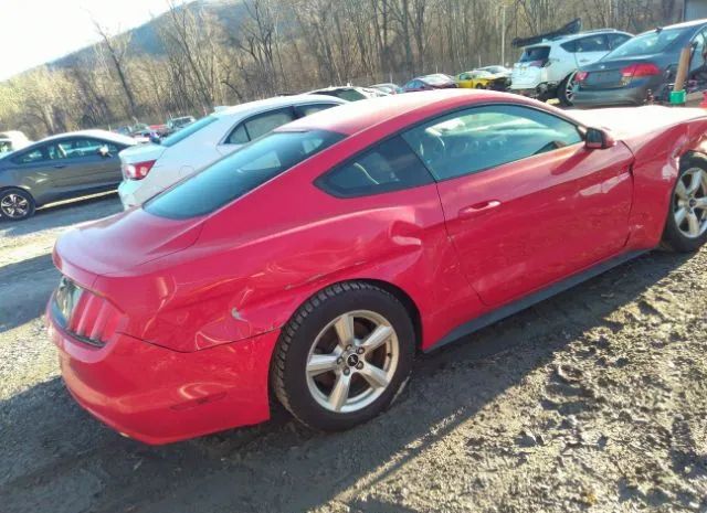 Photo 3 VIN: 1FA6P8AM8H5235031 - FORD MUSTANG 