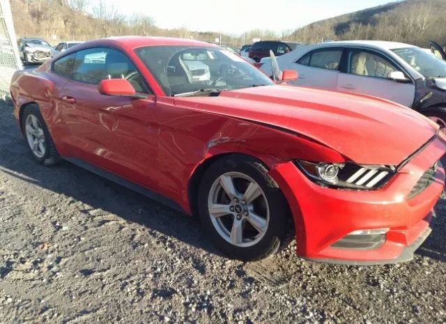 Photo 5 VIN: 1FA6P8AM8H5235031 - FORD MUSTANG 