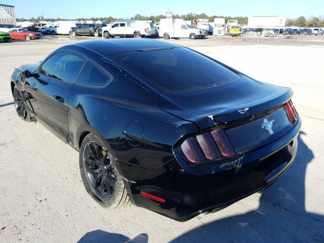 Photo 2 VIN: 1FA6P8AM8H5302341 - FORD MUSTANG 