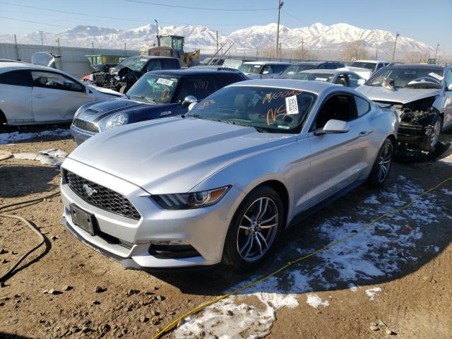 Photo 1 VIN: 1FA6P8AM9F5329982 - FORD MUSTANG 