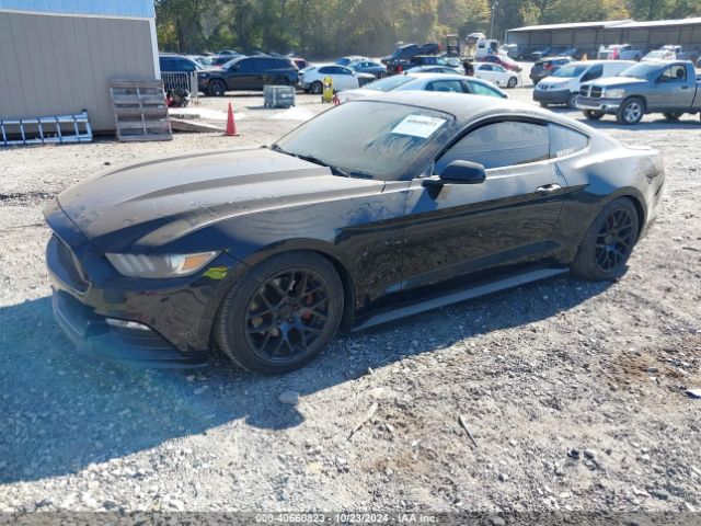 Photo 1 VIN: 1FA6P8AM9F5337046 - FORD MUSTANG 