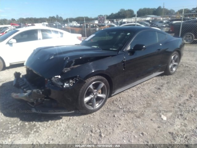 Photo 1 VIN: 1FA6P8AM9F5344482 - FORD MUSTANG 