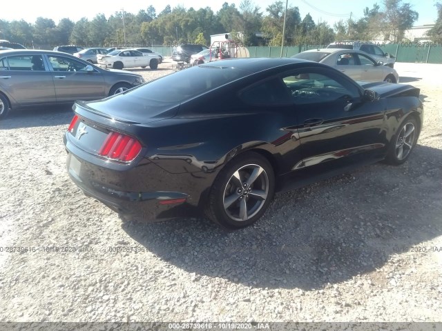 Photo 3 VIN: 1FA6P8AM9F5344482 - FORD MUSTANG 