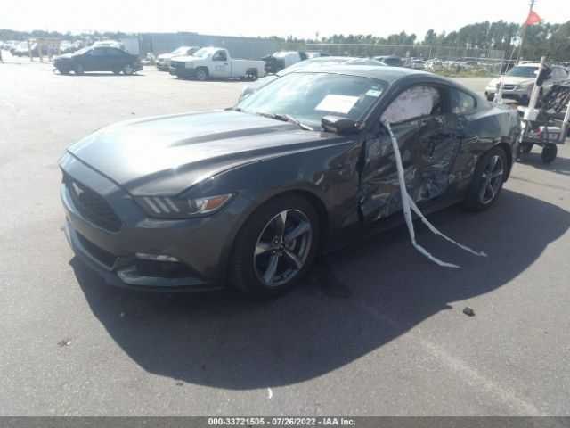 Photo 1 VIN: 1FA6P8AM9F5380172 - FORD MUSTANG 