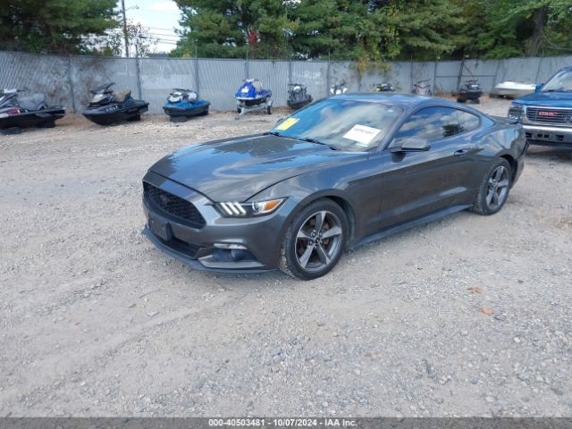 Photo 1 VIN: 1FA6P8AM9F5406351 - FORD MUSTANG 