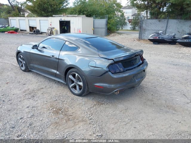 Photo 2 VIN: 1FA6P8AM9F5406351 - FORD MUSTANG 