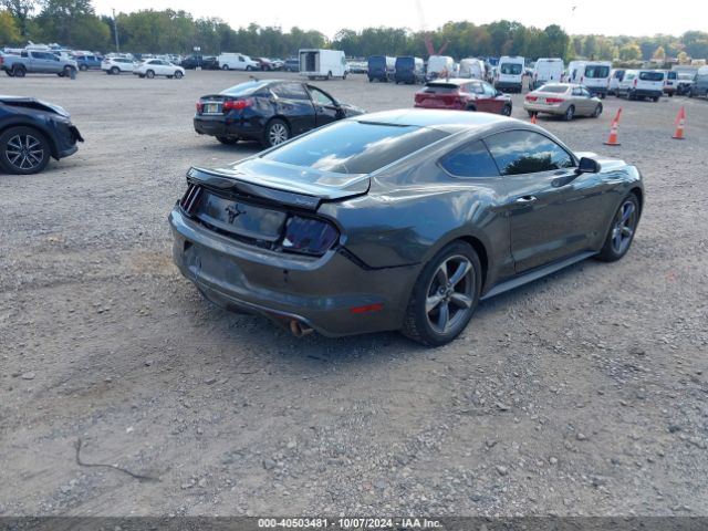 Photo 3 VIN: 1FA6P8AM9F5406351 - FORD MUSTANG 