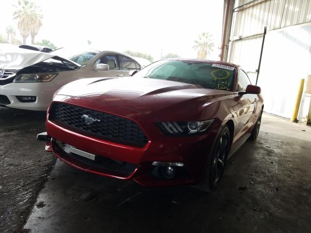 Photo 1 VIN: 1FA6P8AM9F5431217 - FORD MUSTANG 