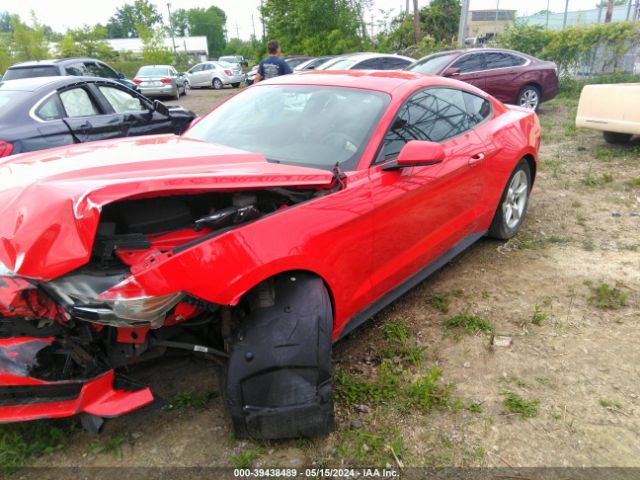 Photo 1 VIN: 1FA6P8AM9FS374906 - FORD MUSTANG 