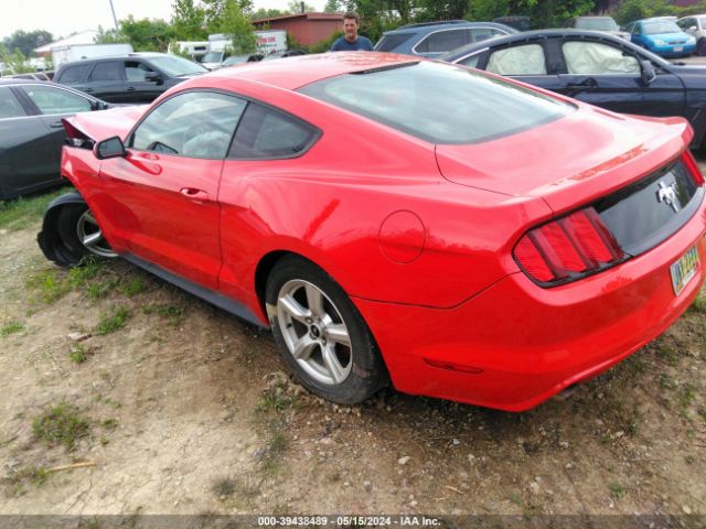 Photo 2 VIN: 1FA6P8AM9FS374906 - FORD MUSTANG 