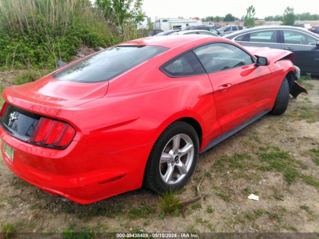 Photo 3 VIN: 1FA6P8AM9FS374906 - FORD MUSTANG 