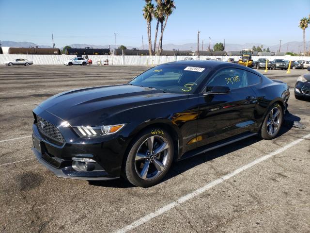 Photo 1 VIN: 1FA6P8AM9G5202022 - FORD MUSTANG 