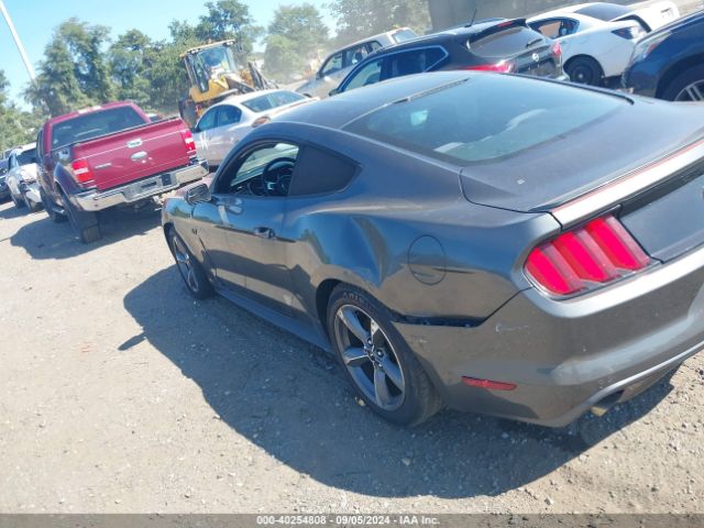 Photo 2 VIN: 1FA6P8AM9G5210010 - FORD MUSTANG 