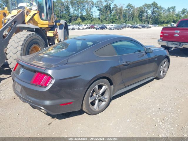 Photo 3 VIN: 1FA6P8AM9G5210010 - FORD MUSTANG 