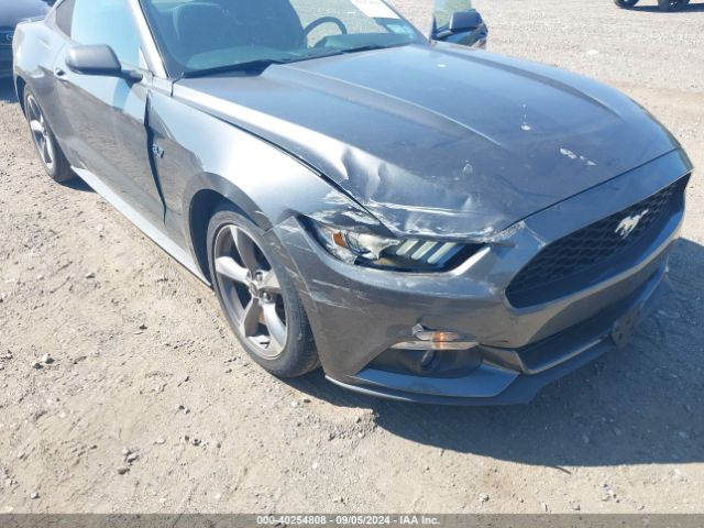 Photo 5 VIN: 1FA6P8AM9G5210010 - FORD MUSTANG 