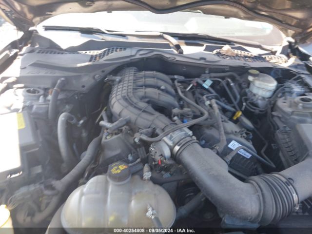 Photo 9 VIN: 1FA6P8AM9G5210010 - FORD MUSTANG 