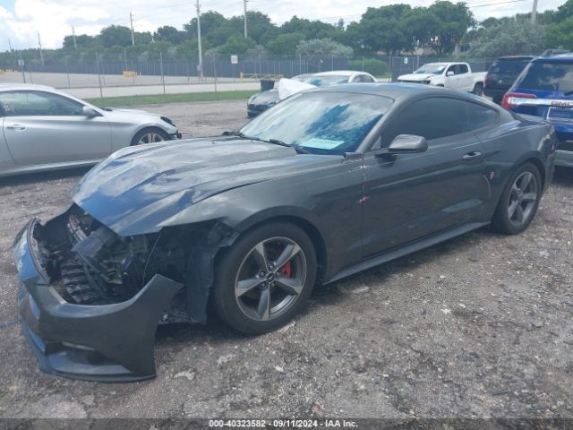 Photo 1 VIN: 1FA6P8AM9G5228796 - FORD MUSTANG 