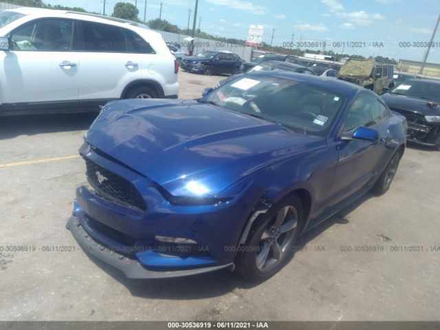 Photo 1 VIN: 1FA6P8AM9G5241838 - FORD MUSTANG 