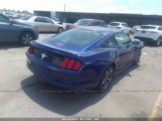 Photo 3 VIN: 1FA6P8AM9G5241838 - FORD MUSTANG 