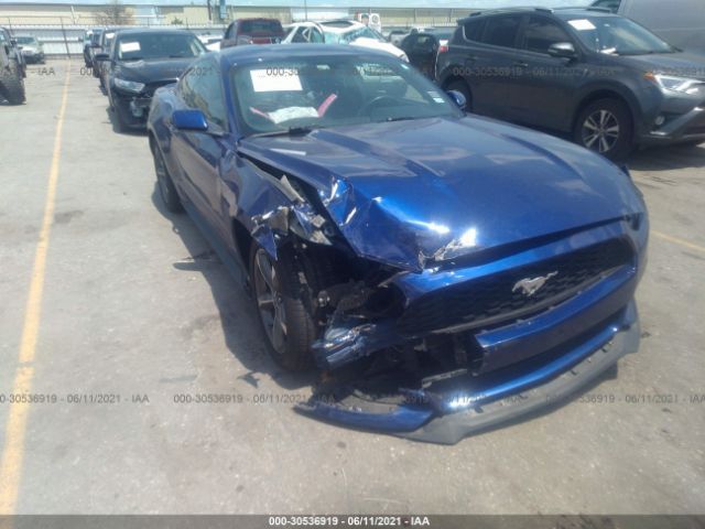 Photo 5 VIN: 1FA6P8AM9G5241838 - FORD MUSTANG 