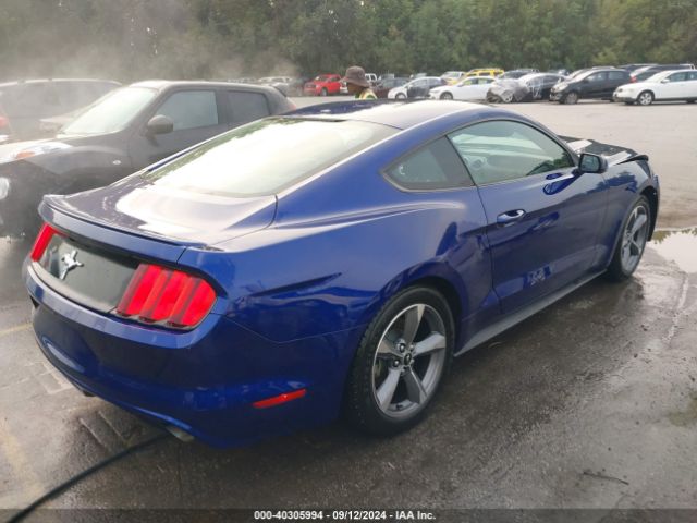 Photo 3 VIN: 1FA6P8AM9G5260633 - FORD MUSTANG 