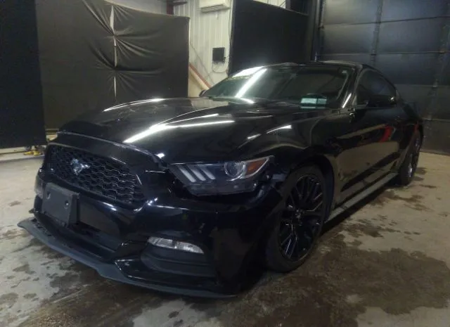 Photo 1 VIN: 1FA6P8AM9G5270739 - FORD MUSTANG 