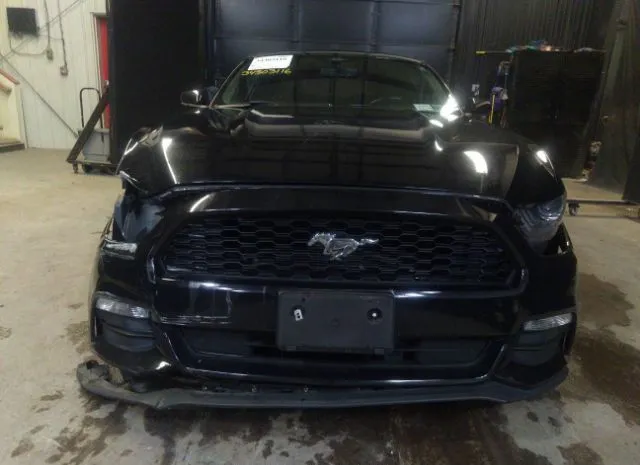 Photo 5 VIN: 1FA6P8AM9G5270739 - FORD MUSTANG 