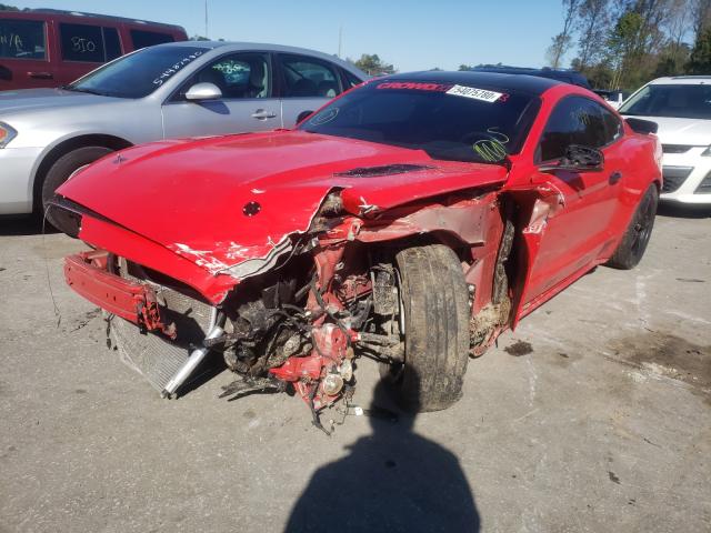 Photo 1 VIN: 1FA6P8AM9G5271311 - FORD MUSTANG 