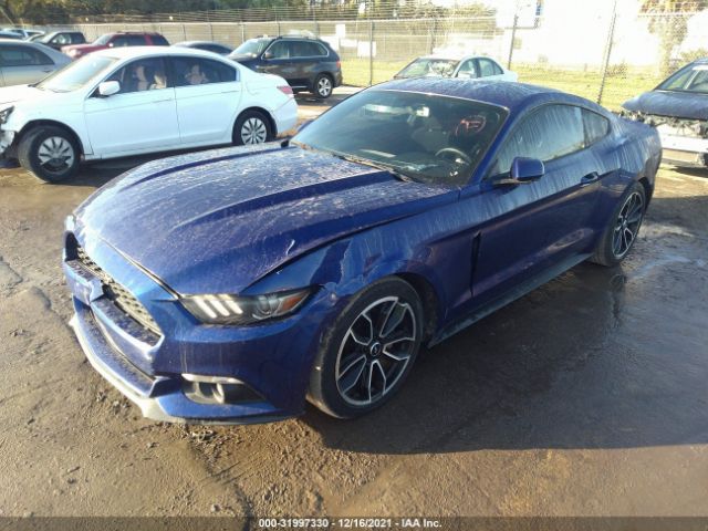 Photo 1 VIN: 1FA6P8AM9G5271342 - FORD MUSTANG 