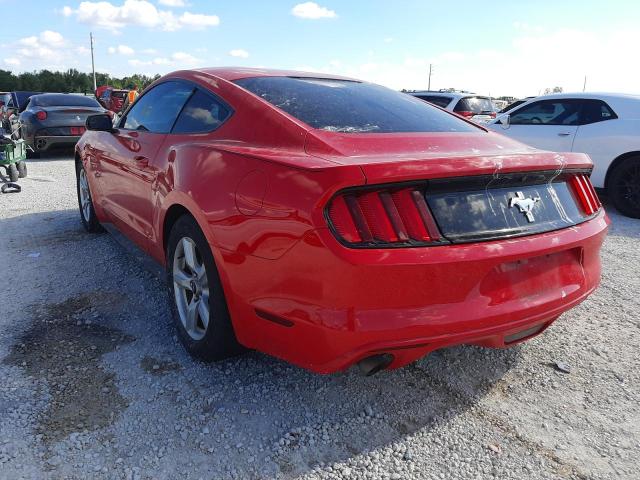 Photo 1 VIN: 1FA6P8AM9G5271910 - FORD MUSTANG 