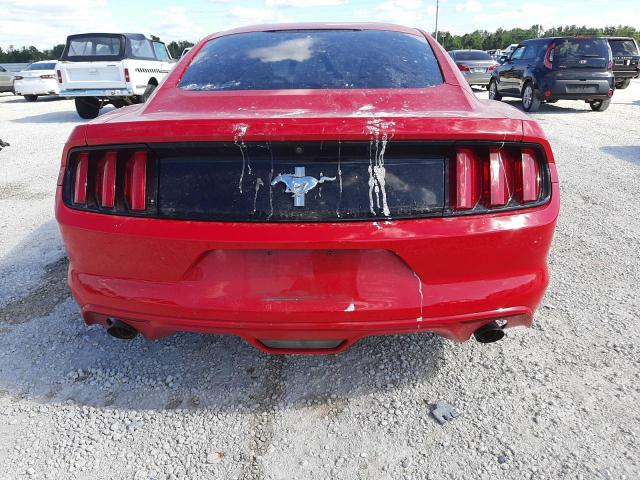 Photo 5 VIN: 1FA6P8AM9G5271910 - FORD MUSTANG 