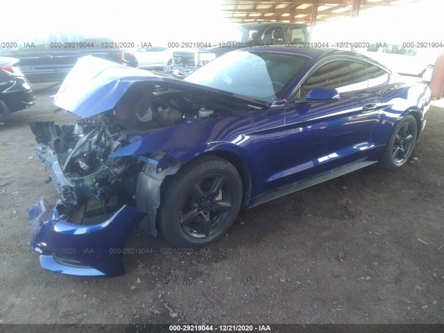 Photo 1 VIN: 1FA6P8AM9G5284348 - FORD MUSTANG 