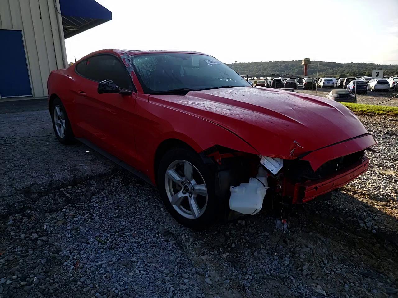 Photo 10 VIN: 1FA6P8AM9G5298332 - FORD MUSTANG 