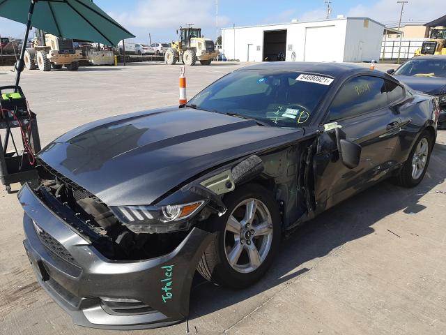 Photo 1 VIN: 1FA6P8AM9G5302699 - FORD MUSTANG 