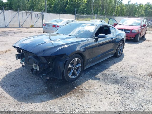 Photo 1 VIN: 1FA6P8AM9G5317607 - FORD MUSTANG 