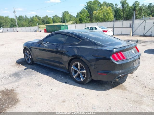 Photo 2 VIN: 1FA6P8AM9G5317607 - FORD MUSTANG 