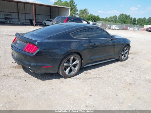 Photo 3 VIN: 1FA6P8AM9G5317607 - FORD MUSTANG 