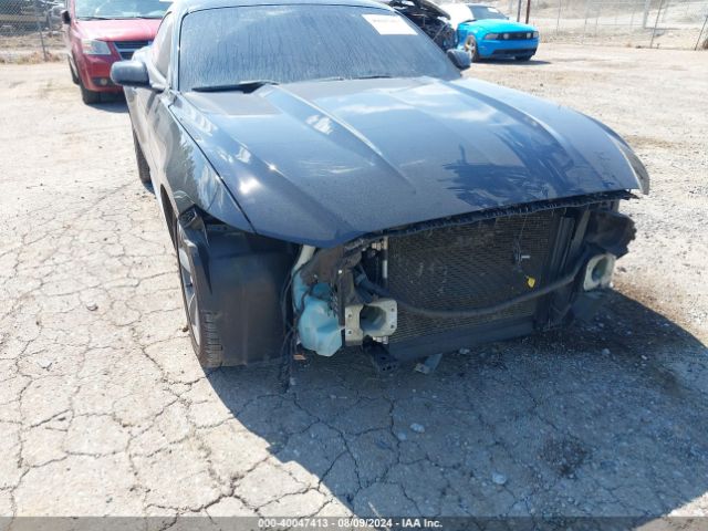 Photo 5 VIN: 1FA6P8AM9G5317607 - FORD MUSTANG 